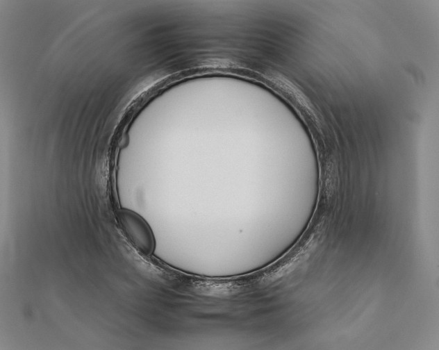 X0000112070831200908251040