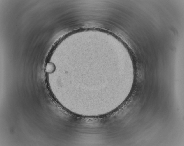 X0000112070832200908251040
