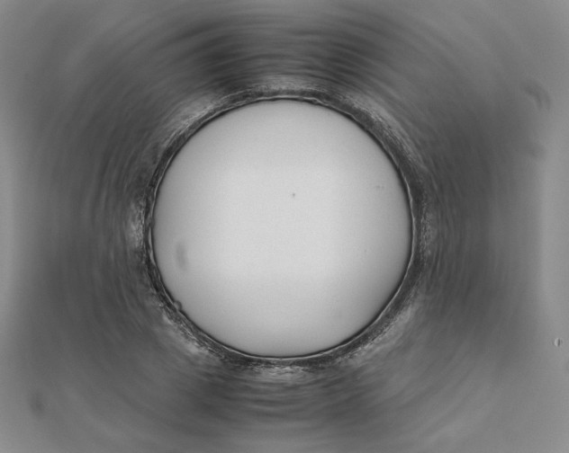 X0000112070833200908251040