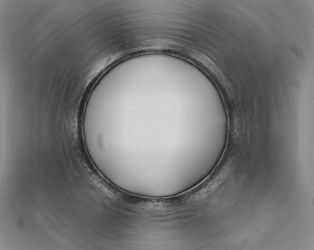 X0000112070834200908251040