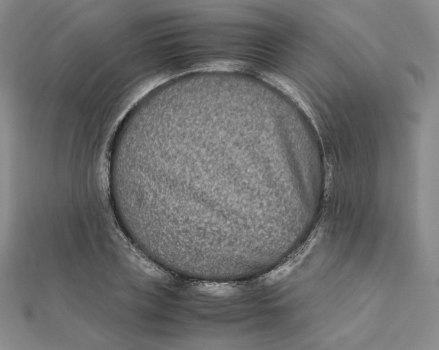 X0000112070835200908251040