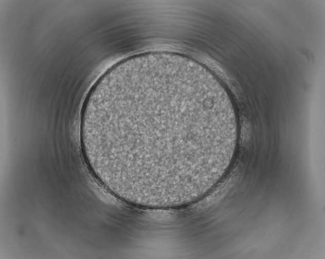 X0000112070836200908251040