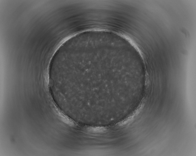 X0000112070837200908251040