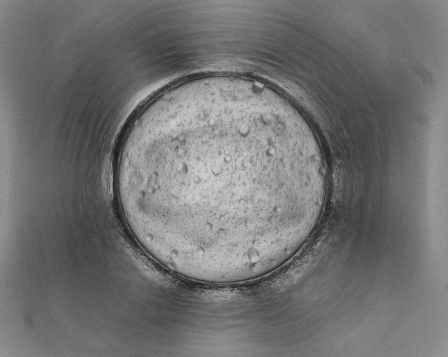 X0000112070838200908251040