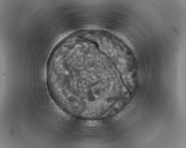X0000112070839200908251041