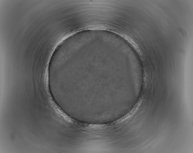 X0000112070840200908251041