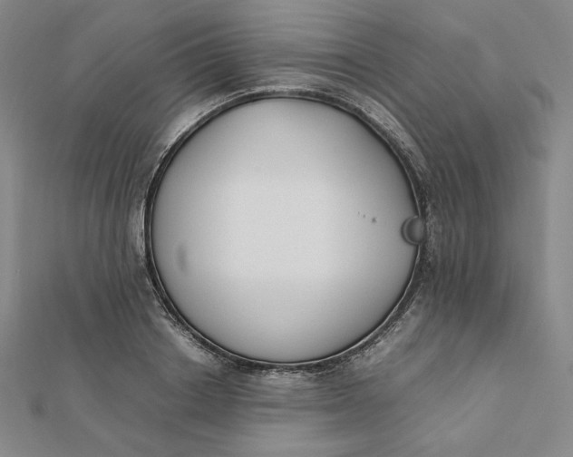 X0000112070842200908251041