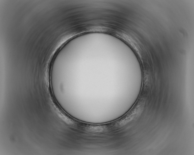 X0000112070843200908251041