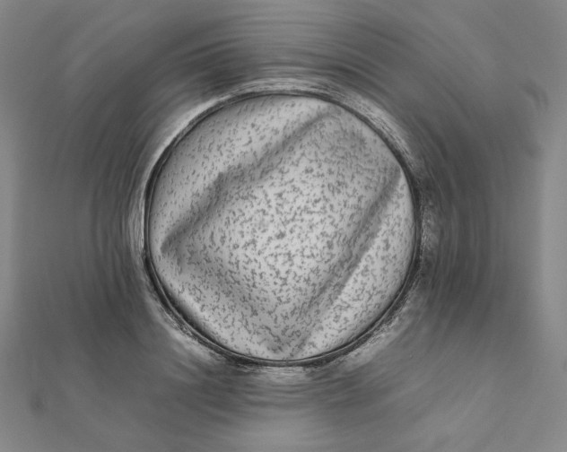 X0000112070844200908251041