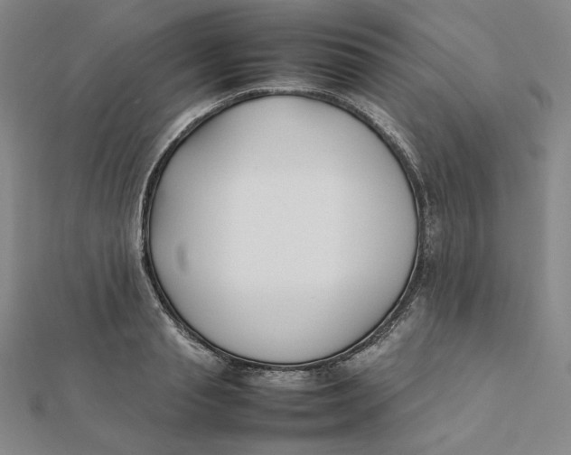 X0000112070845200908251041