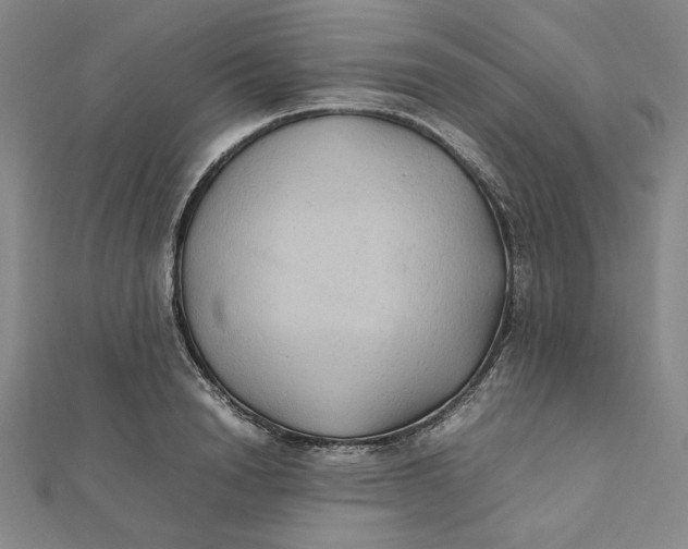 X0000112070846200908251041