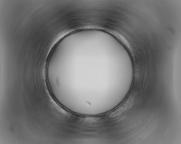 X0000112070847200908251041