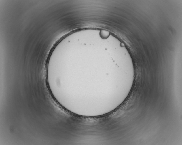 X0000112070848200908251041
