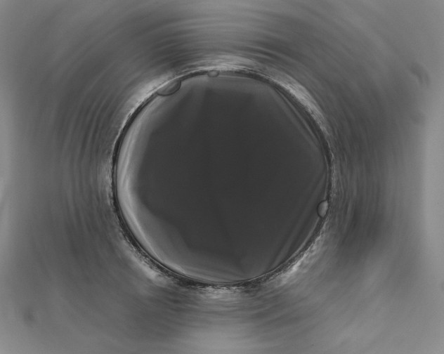 X0000112070850200908251041