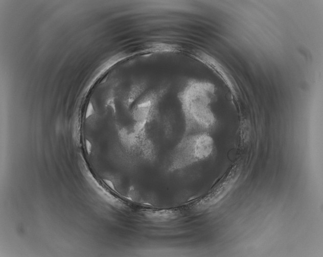 X0000112070851200908251041