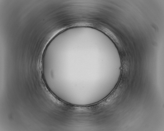 X0000112070852200908251041