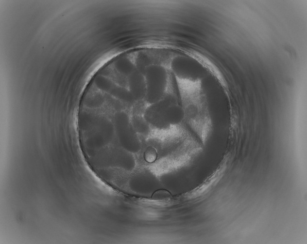 X0000112070855200908251041