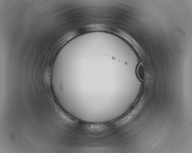 X0000112070857200908251041