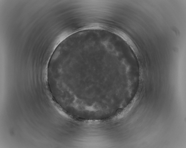 X0000112070858200908251041