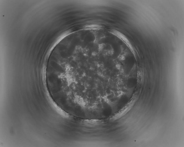 X0000112070859200908251041