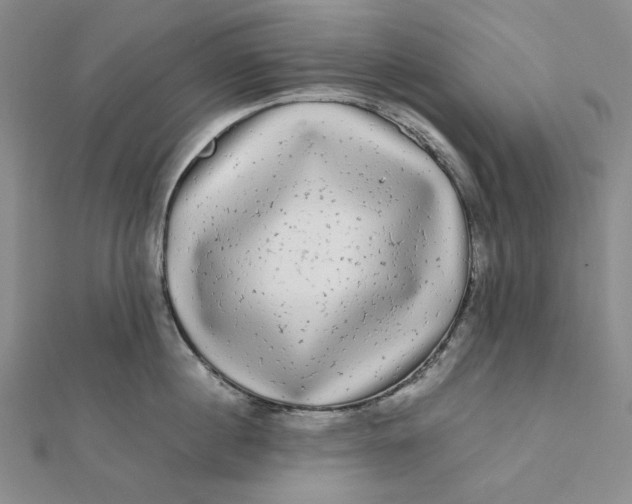 X0000112070860200908251041