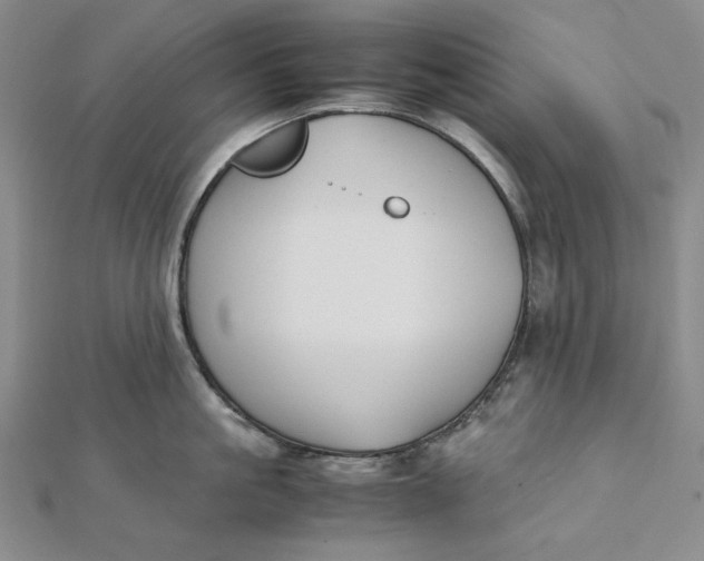 X0000112070861200908251041