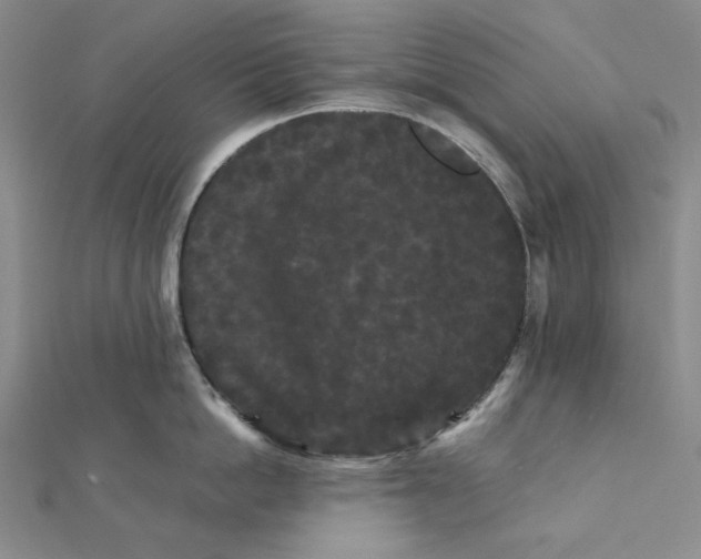 X0000112070862200908251041