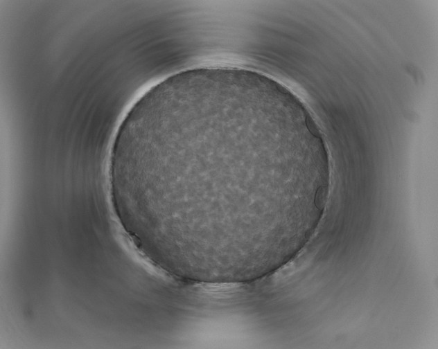 X0000112070864200908251041