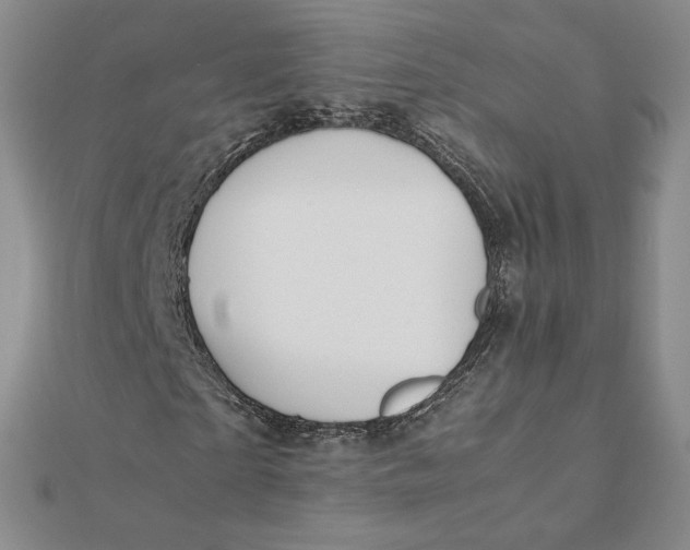 X0000112070865200908251040