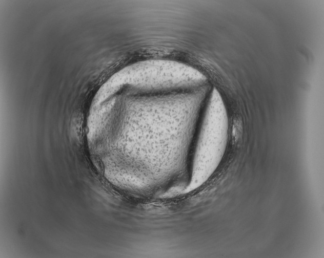 X0000112070867200908251040