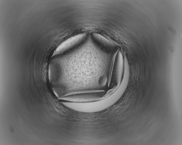 X0000112070868200908251040