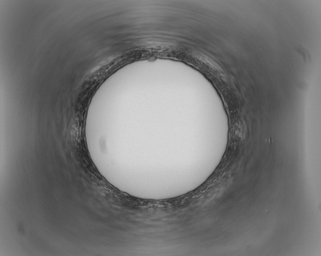 X0000112070869200908251040