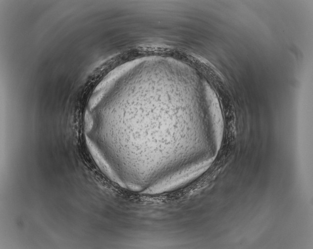 X0000112070870200908251040