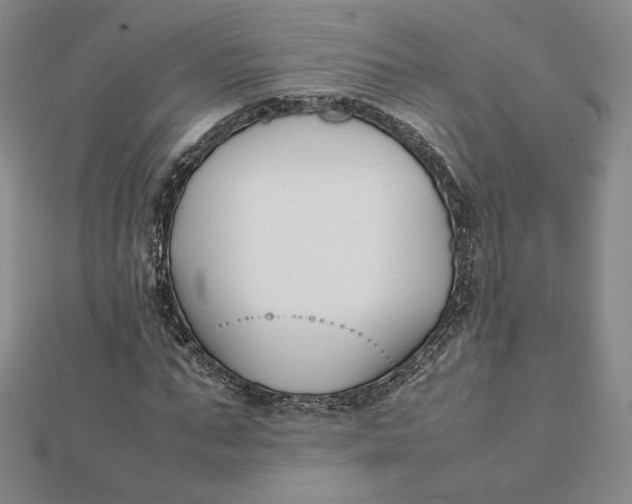 X0000112070871200908251040