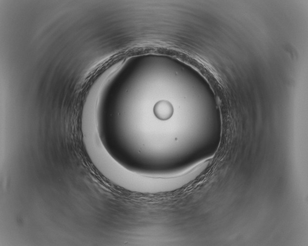 X0000112070872200908251040