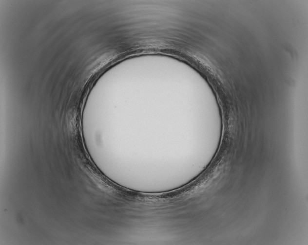 X0000112070873200908251040