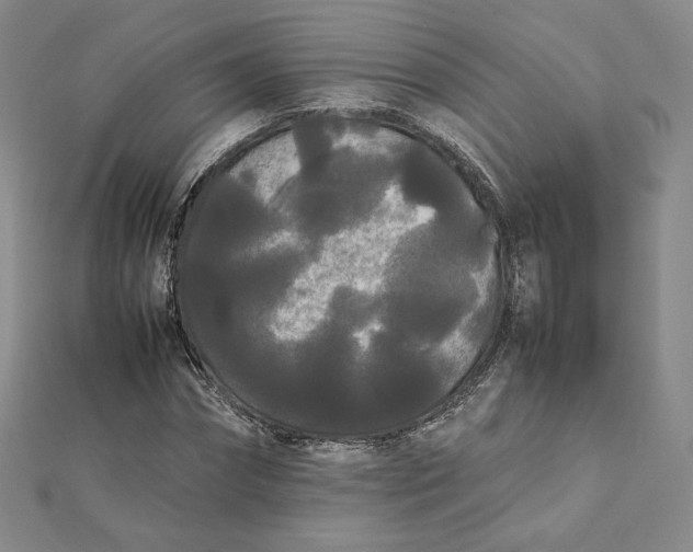 X0000112070874200908251040