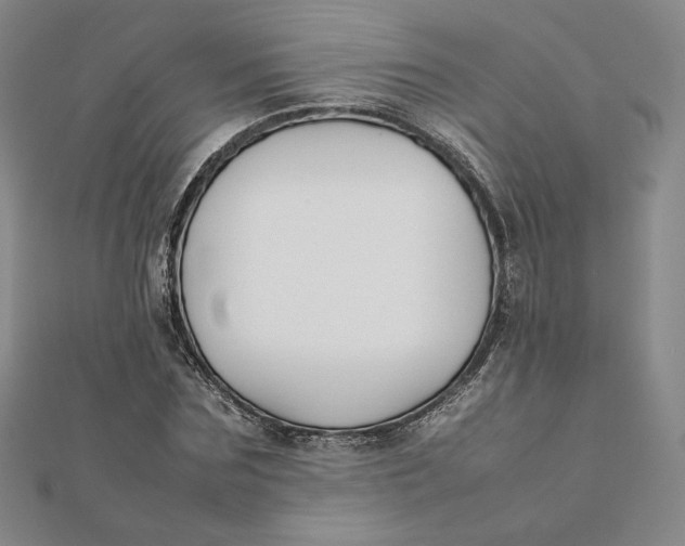 X0000112070875200908251040