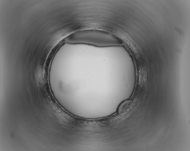 X0000112070876200908251040