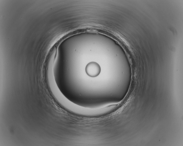 X0000112070877200908251040