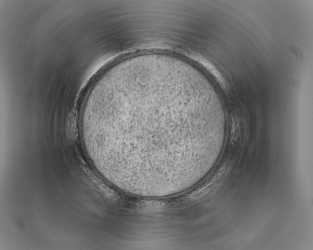 X0000112070878200908251040