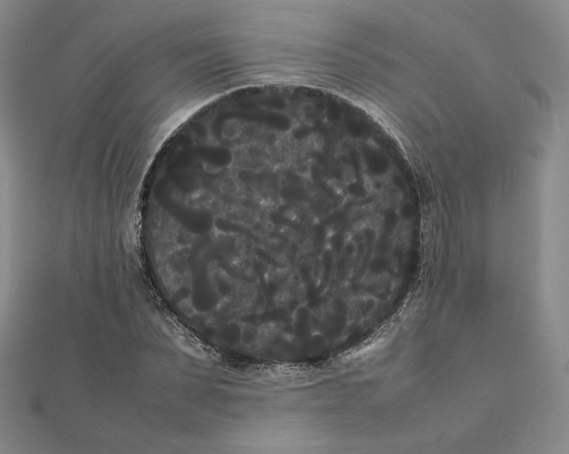 X0000112070879200908251040