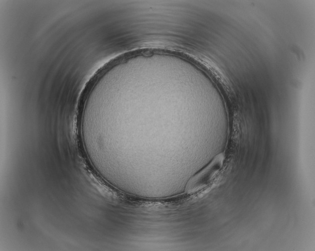 X0000112070880200908251040