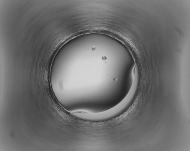 X0000112070881200908251040