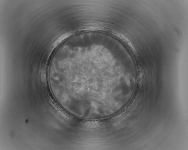 X0000112070882200908251040