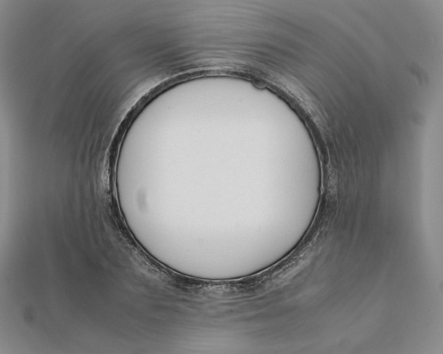 X0000112070883200908251040