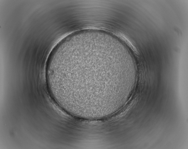 X0000112070884200908251040