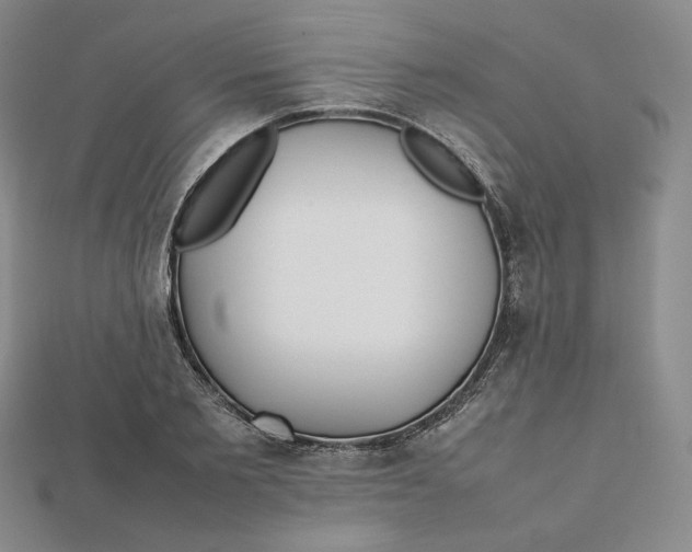 X0000112070885200908251040