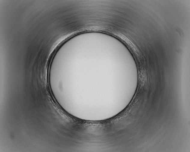 X0000112070886200908251040