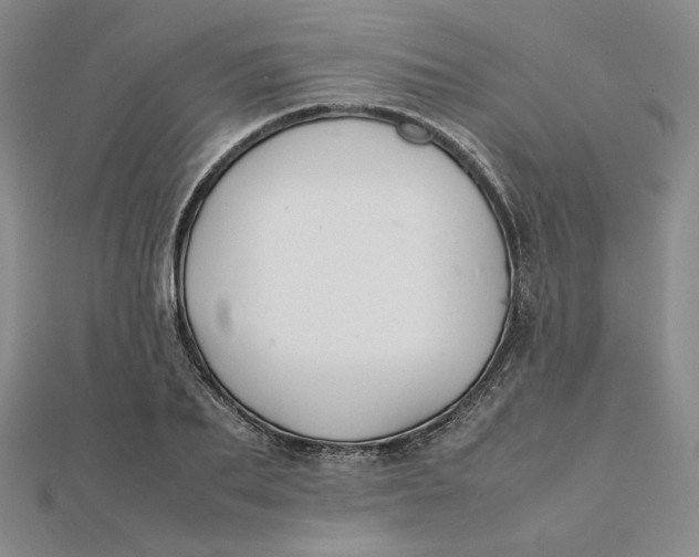 X0000112070887200908251040